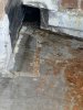 IMG_8705.JPEG