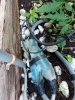 20230902_175850.jpg 20230902_175850.jpg