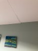 IMG_8291.jpeg