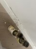 IMG_7361.jpeg