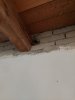 20230910_081819.jpg
