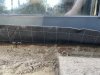 IMG_4429.jpeg