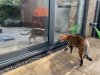 IMG_4461.jpeg