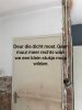 IMG_3196.jpeg