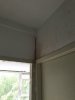 IMG_7067.jpeg IMG_7067.jpeg