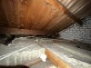 IMG_0092.jpeg