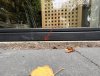 IMG_2505.jpeg