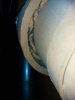 20201024_045608.jpg