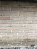 8F02CD82-AA0A-4063-B04A-8010A297CDE1.jpeg 8F02CD82-AA0A-4063-B04A-8010A297CDE1.jpeg