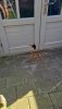 IMG-20230821-WA0005.jpeg