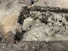 IMG_4967.jpeg