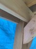 IMG_8360.jpeg