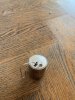 IMG_1425.jpeg