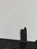 PXL_20231020_091155822.jpg