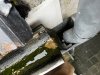 IMG_4573.jpeg
