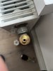 IMG_7101.jpeg
