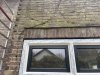 IMG_4099.jpeg