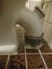 IMG20231111191341.png