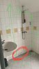 IMG_5968.jpeg