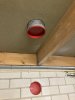 IMG_4235.jpeg