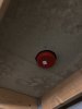 IMG_4234.jpeg