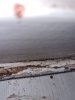 20231114_175033.jpg