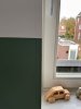 IMG_1581.jpeg