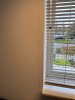 IMG_1583.jpeg