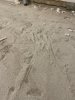 IMG_9616.jpeg IMG_9616.jpeg