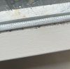 IMG_0365.jpeg