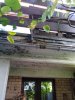 IMG_20231115_132846.jpg