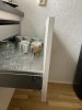 IMG_4720.jpeg