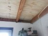IMG_20231129_125342.jpg