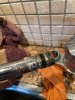 thumbnail_IMG_6425.jpg