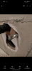 Screenshot_20231219-183555.png