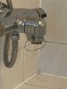 IMG_4831.jpeg