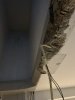 IMG_2552.jpeg