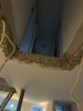 IMG_2554.jpeg