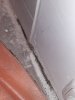 20231229_195323.jpg