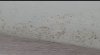 Screenshot_20231229-231449_Picture Insect.jpg