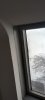 IMG_20231113_123648097_HDR 2.jpg
