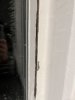 IMG_9928.jpeg
