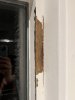 IMG_9929.jpeg