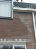 IMG20240112093929.jpg