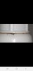 Screenshot_20240112-205116_Picture Insect.jpg