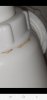 Screenshot_20231209-015928_Picture Insect.jpg