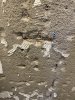 IMG_0600.jpeg