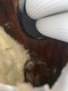 IMG_6083.JPEG