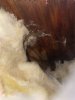 IMG_6082.JPEG