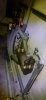 signal-2024-01-16-201443_002.jpeg
